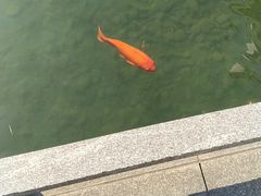 -苏州园林博物馆