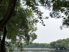 -北陵公园