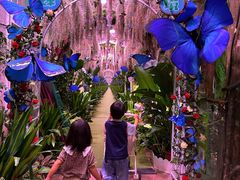 -正佳雨林生态植物园