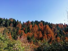 -山王坪喀斯特国家生态公园
