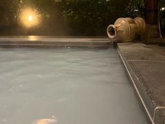 -庐山上汤温泉度假村