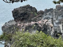 -柱状节理带