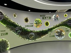 -东寨港红树林旅游区