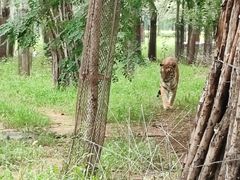 -秦皇岛野生动物园