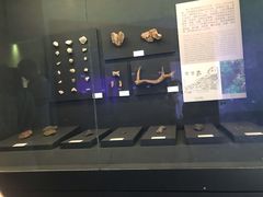 -北京周口店北京人遗址博物馆