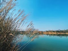 -白鹭湾湿地公园