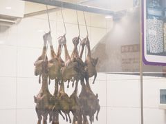 -鸽鸟轩(石岐店)