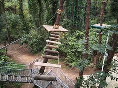 -芦仙山景区-飞越丛林探险乐园