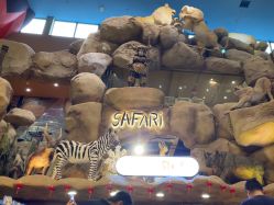 -卡通尼·Safari非洲探索乐园·生日会(金桥国际商业广场店)