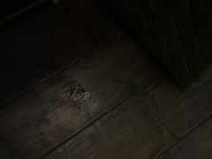 -索拉古贝(义乌北苑店)