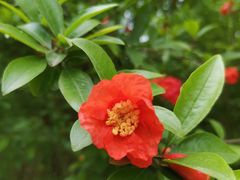 -桤木河湿地公园