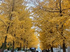 -东北大学(南湖校区)