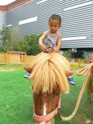 -萌宠亲子动物乐园(槐房万达店)