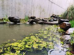 -中国湿地博物馆