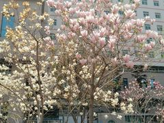 -中国医科大学附属盛京医院(南湖院区)