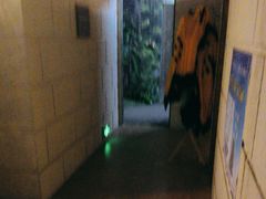 -逃脱反斗城沉浸剧情密室(北京路店)