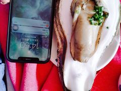 -大湾区中央湿地公园-十九涌