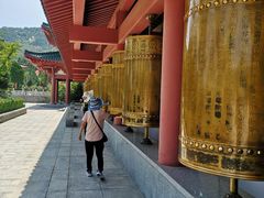 -龙口南山旅游景区