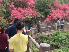 -木兰云雾山