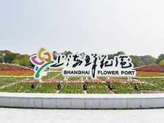 -上海鲜花港
