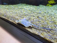 -长沙海底世界
