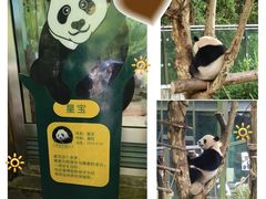 -黔灵山公园