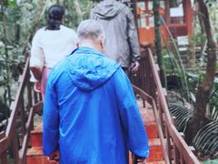 -七仙岭温泉国家森林公园