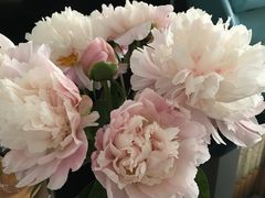 -双季花艺园艺市场(浦东店)