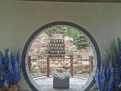 -东平国家森林公园