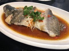 -河畔春天时尚餐厅