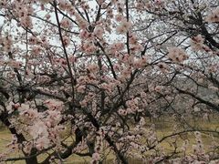 -乌素图国家森林公园