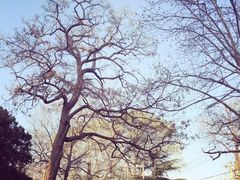 -长颈鹿咖啡(大学路店)