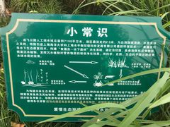 -成飞公园