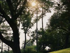 -云溪植物园