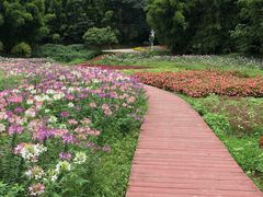 -广州市石门国家森林公园