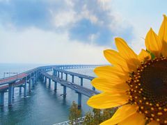 -星海湾跨海大桥