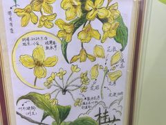 -上海昆虫博物馆