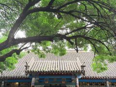 -张学良旧居陈列馆