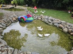 -HERRE·FARM 赫尔露营农场·团建聚会包场