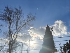 -青岛胶东国际机场