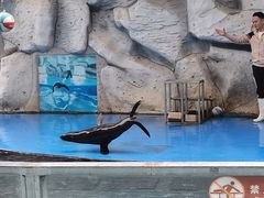 -泉州海丝野生动物世界