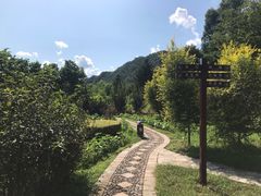 -参仙谷生态旅游度假区
