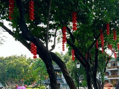 -荔湾湖公园