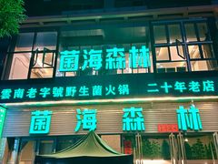 -菌海森林·非遗野生菌火锅(西山区滇池路摩根道店)