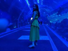 -成都浩海立方海洋公园