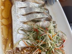 -苏城小院·园林精致苏州菜(斜塘老街店)