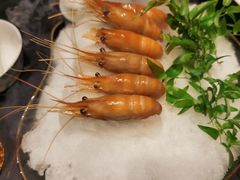 -桂满陇·海市蜃楼·黑金(国金店)