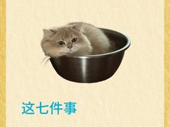 -派美特宠物医院·核磁CT·骨科肿瘤·疑难转诊(沈农禾丰店)