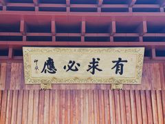 -深圳仙湖植物园