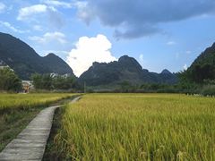 -靖西鹅泉风景区